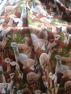 Alpaca Fabric